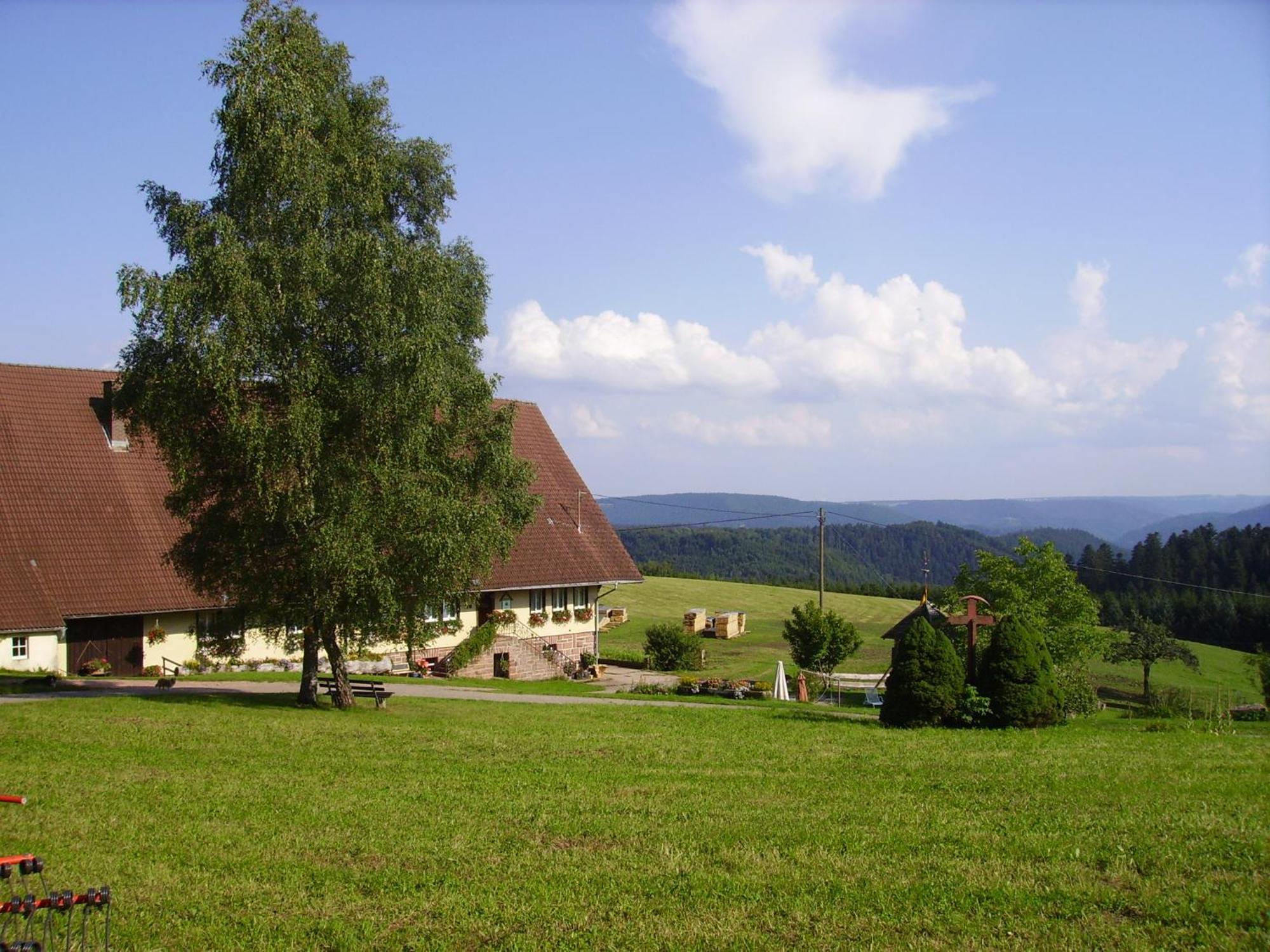 Vila Aeckerhof Wolfach Exteriér fotografie